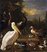 HONDECOETER, Melchior d A Pelican and Other Birds Near a Pool, oil on canvas